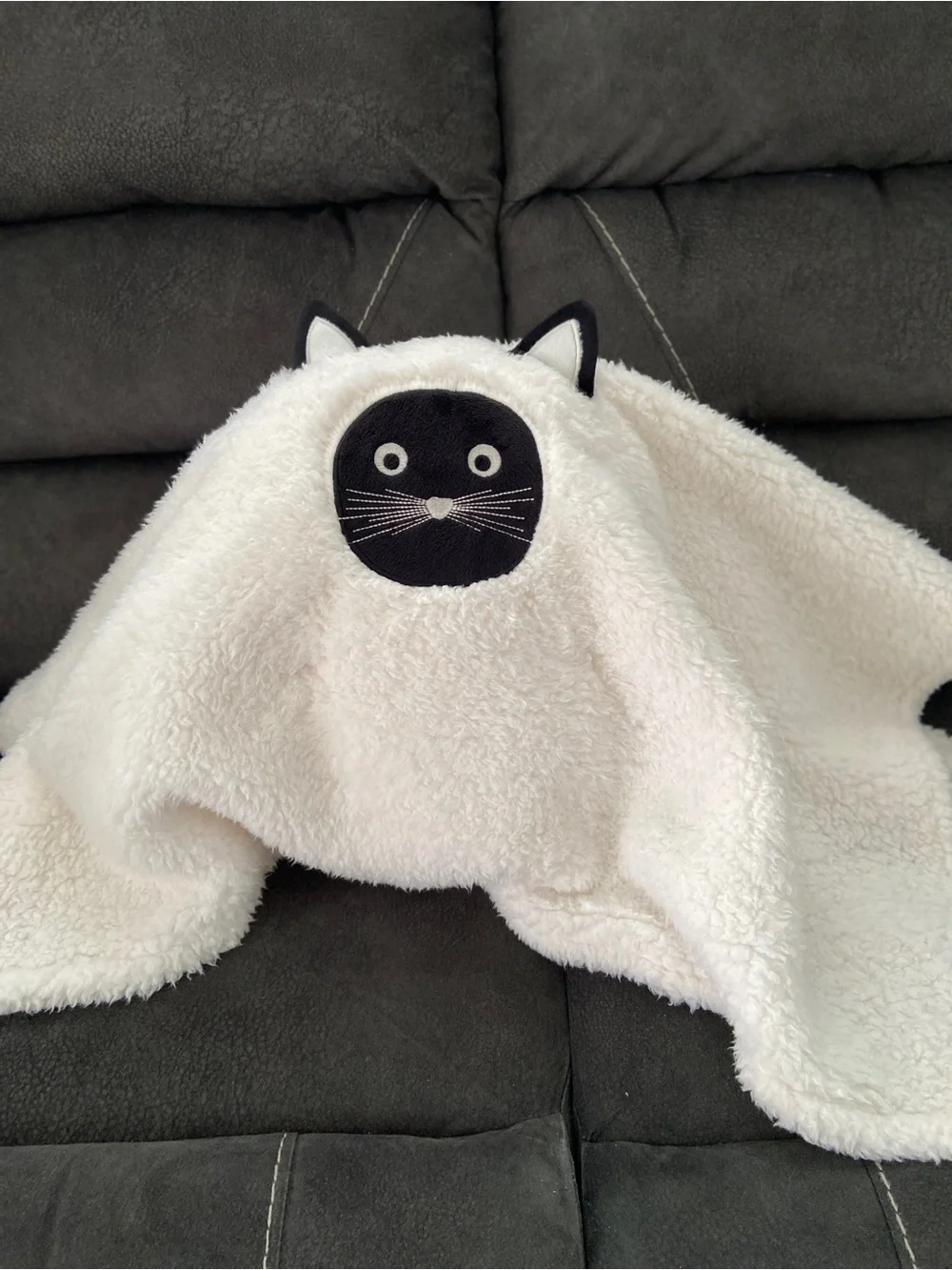 Scaredy Cat Pillow Pottery Barn NWT